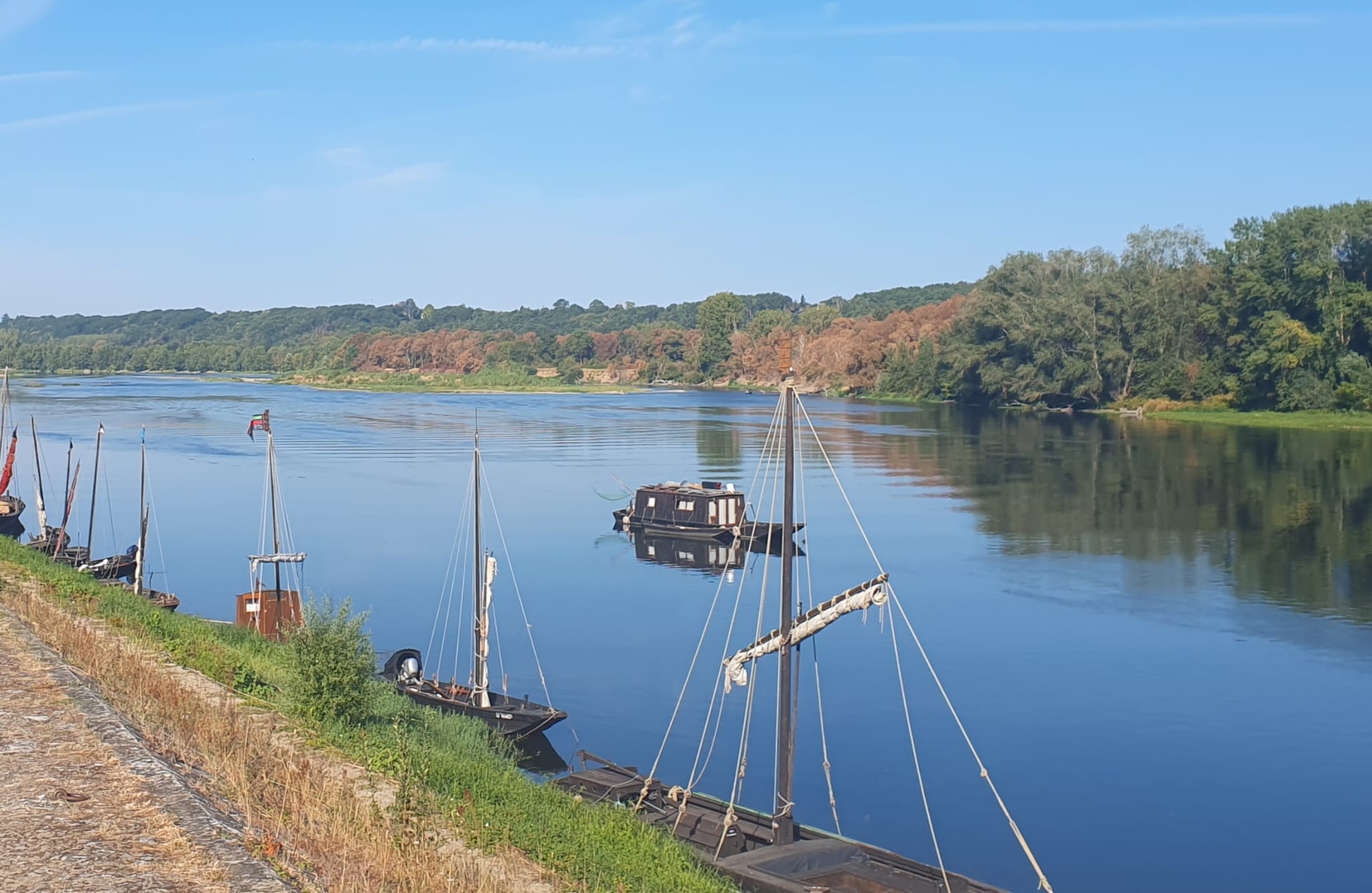 Changement de vie en Anjou